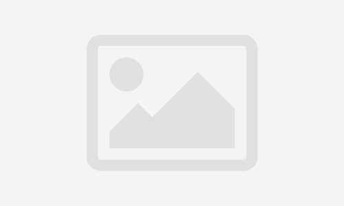 Professional Life Coach Certification & Guide